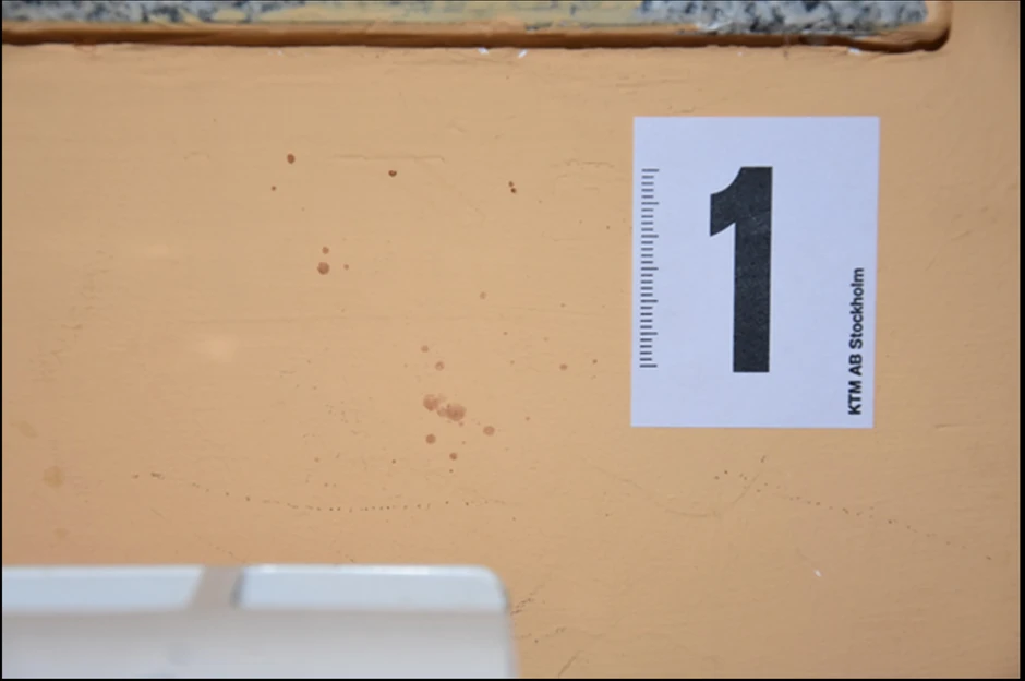 Zabranjeno preuzimanje fotografija bez saglasnosti redakcije Blic