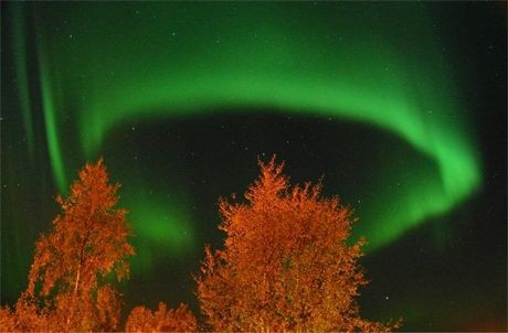 usting solar winds and blasts of charged particles from the Sun made the early days of October rewarding ones for those anticipating auroras. While out enjoying the stormy space weather from Toemmeraas, Norway, Trygve Lindersen recorded this picturesque apparition of the northern lights with a digital camera on October 6. From this perspective, the curtains of green light formed a ring which seemed to hover, wraithlike, just above the foreground trees. But the ring of light was actually 100 kilometers or more above the trees and the greenish glow produced by oxygen molecules interacting with energetic electrons and fluorescing near the edge of space. After days of enchanting auroral displays on planet Earth, the solar activity which triggered October's geomagnetic storms seems to have subsided ... for now.