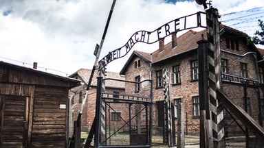 "Auschwitz w rzeźbie. Ze zbiorów Państwowego Muzeum Auschwitz-Birkenau w Oświęcimiu". Ze wstępu