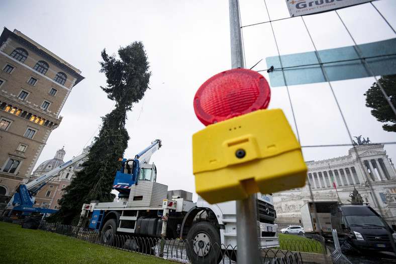 Spór wokół choinki w Rzymie: był drapak, jest połamaniec