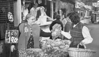 Ki az a tojásdiktátor és mi a magyar ananász? A modern piac születése Budapesten