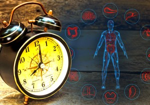 Svaki organ ima svoje optimalno vreme rada prema kineskoj tradicionalnoj medicini