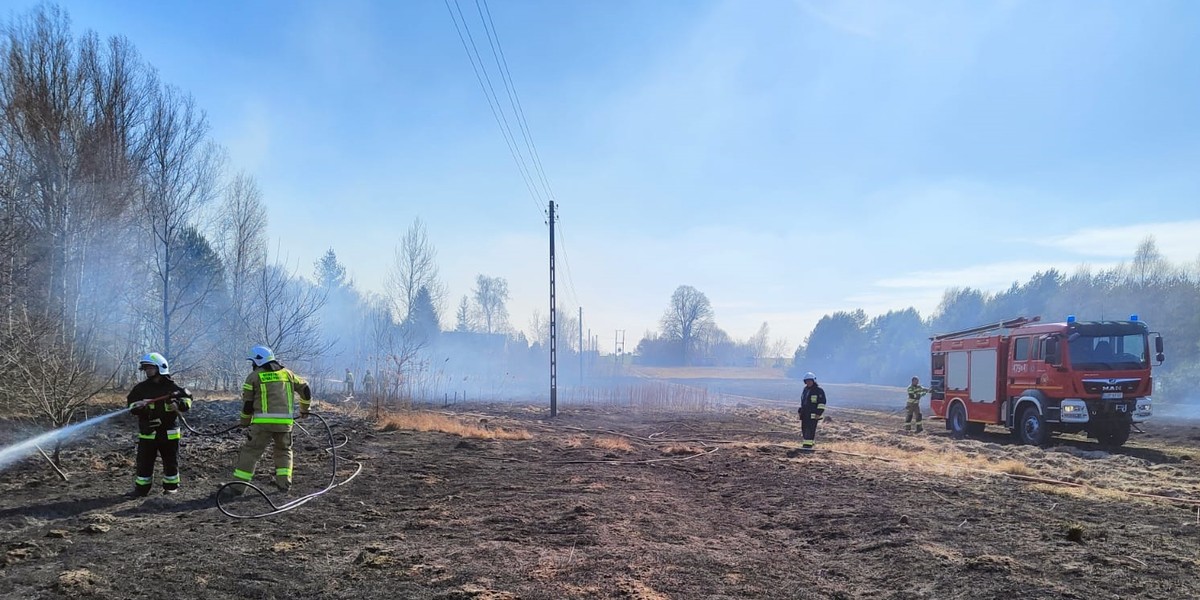 Pożar lasu pod Opocznem