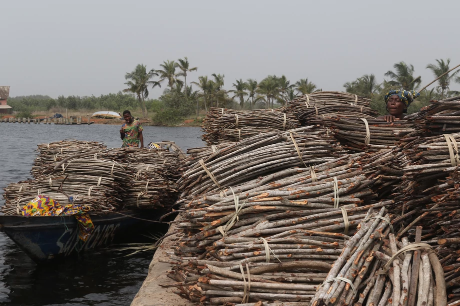 - Sprowadzanie na rynek unijny ryb kupowanych od należącej do Chin floty działającej w Ghanie powinien z pewnością być traktowany jako obarczony wysokim ryzykiem, dokładnie sprawdzany, a w przypadku nielegalnych połowów, zablokowany - podkreśla Steve Trent, dyrektor generalny Environmental Justice Foundation.