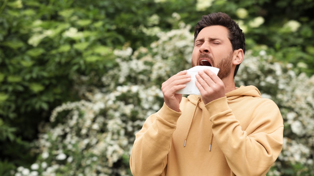 Alergije u letnjem i jesenjem periodu često potiču od polena trava i korova