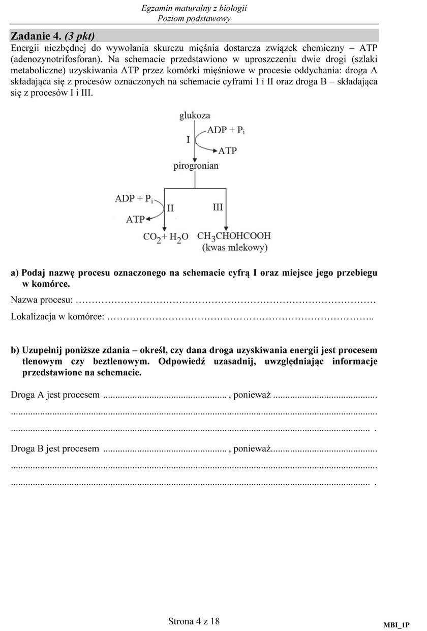 Matura 2017 biologia. Arkusze maturalne CKE