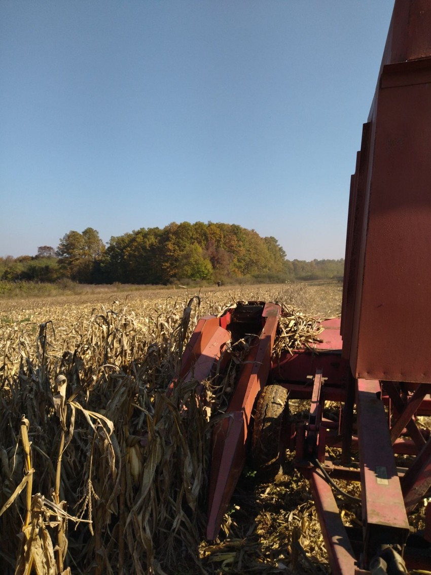 Gazdinstvo Stanišić