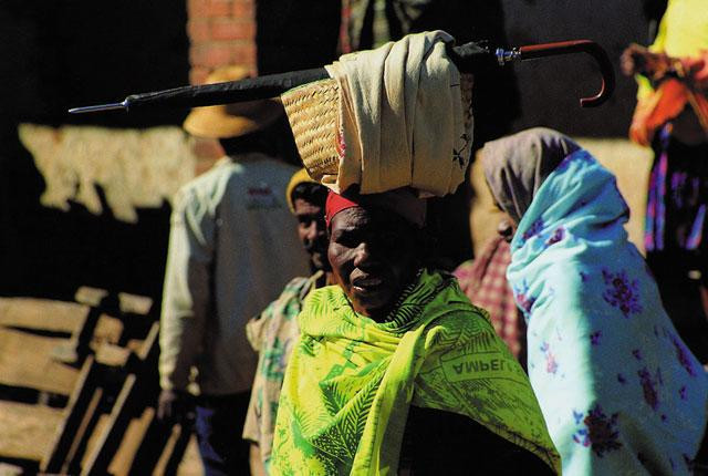 Galeria Madagaskar: Wyprawy marzeń, obrazek 19