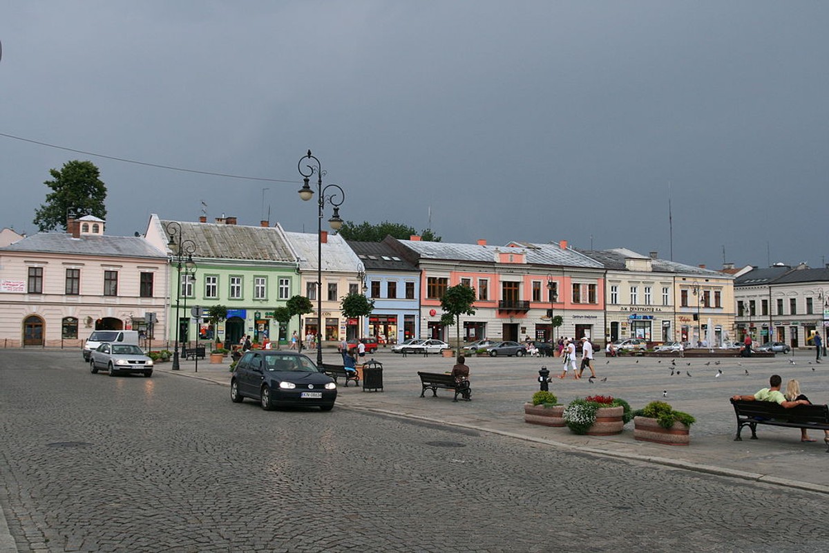 Podczas kampanii wyborczej Handzel zapowiadał wprowadzenie Karty Nowosądeczanina, dającej szereg przywilejów mieszkańcom miasta.