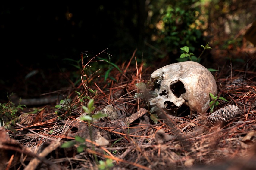 Laboratorije na otvorenom mogu da iznedre važne dokaze o poreklu osobe