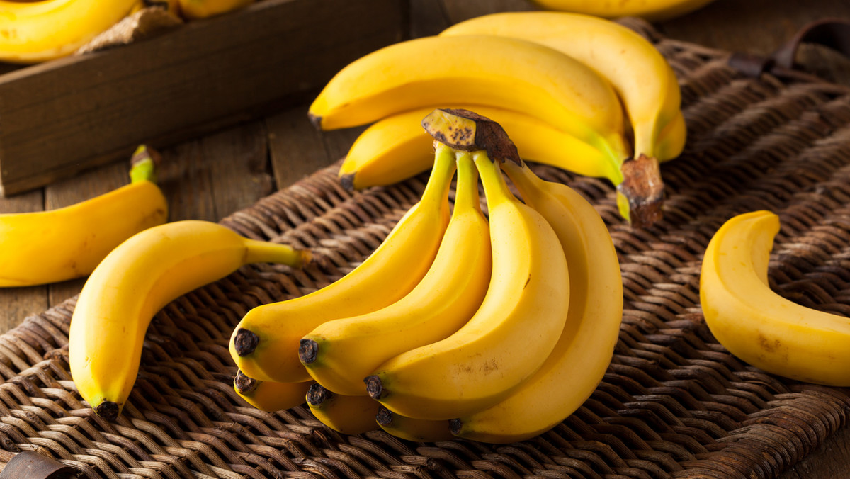 21-letni Dany Nash dzień rozpoczyna od koktajlu z 12 bananów. Dzięki temu pozyskuje ok. 80 proc. dziennego zapotrzebowania na kalorie. Dietetycy przestrzegają 21-latka przed niedoborem składników odżywczych. Ten jednak nie zamierza nic zmieniać.