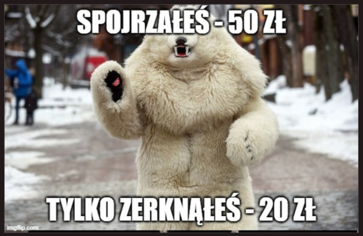 "Biały miś" z Krupówek robi furorę w Internecie