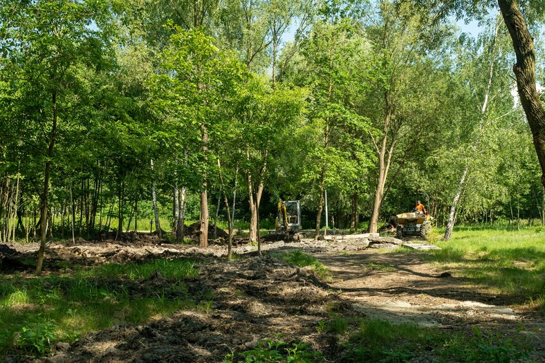 Katowice, przy ul. Wantuły powstaje kolejny park