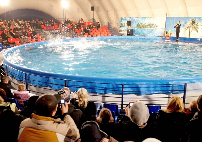 Delfinarium w Warnie