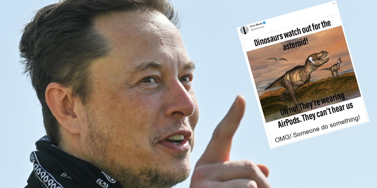 Elon Musk wstawił na Twittera mem, który przedstawia ostrzeganie dinozaurów przed nadejściem asteroidy (screen: Twitter.com/@elonmusk)