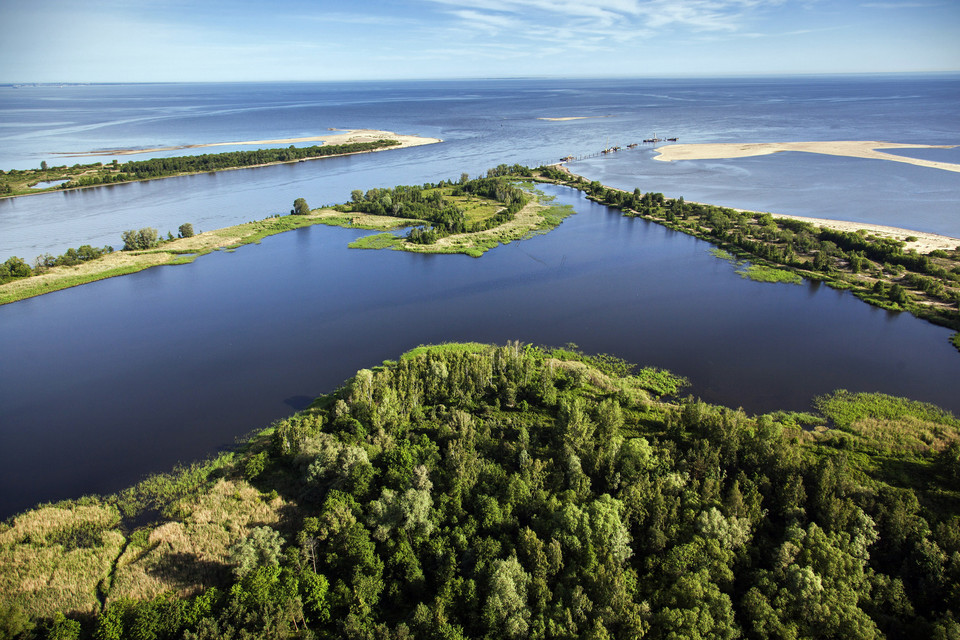 Mikoszewo, Rezerwat Przyrody Mewia Łacha