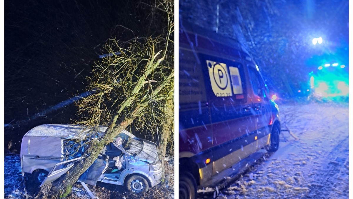 Tragiczny wypadek na Pomorzu - bus uderzył w drzewo, nie żyje 43-letni kierowca [Źródło: Onet]