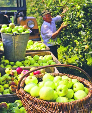 Jak oszukują pracownicy sezonowi