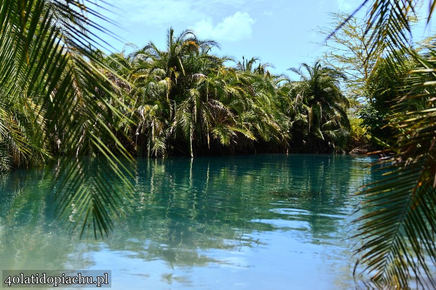 Tanzania i Zanzibar - jak samodzielnie zorganizować wyjazd.