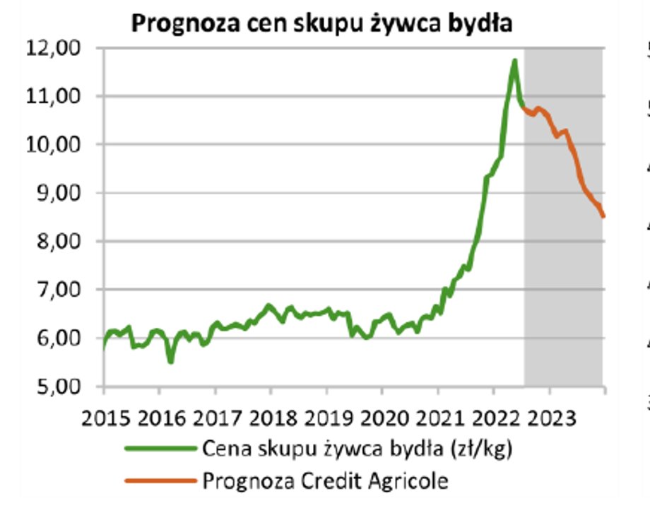 Ekonomiści wskazują, że w przypadku wołowiny jesteśmy już po cenowym szczycie.