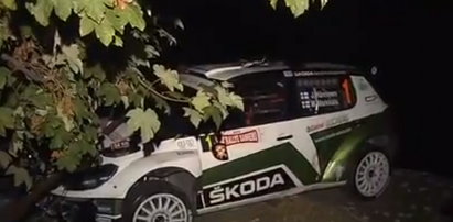 Skoda poszła w szkodę