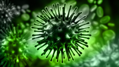 Śląskie: kolejna ofiara świńskiej grypy