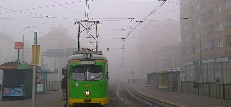 Poznań: PiS chce darmowej komunikacji w czasie największego zanieczyszczenia powietrza