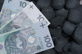 Tyle obecnie kosztuje tona węgla. Oto ceny za ekogroszek, węgiel orzech i węgiel kostkę w 2025 roku