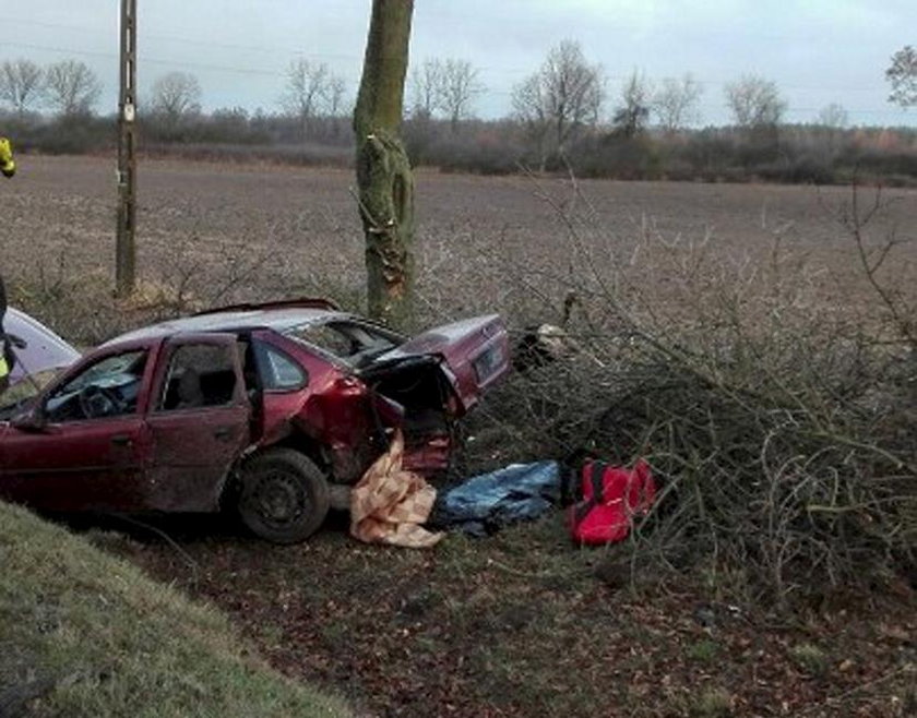 Krwawy weekend w Lubuskiem. Są zabici i ranni