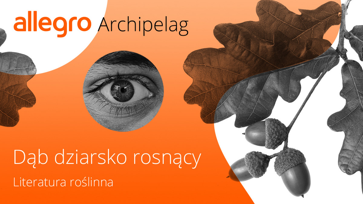 Podcast "Literatura roślinna" w Archipelagu Allegro 