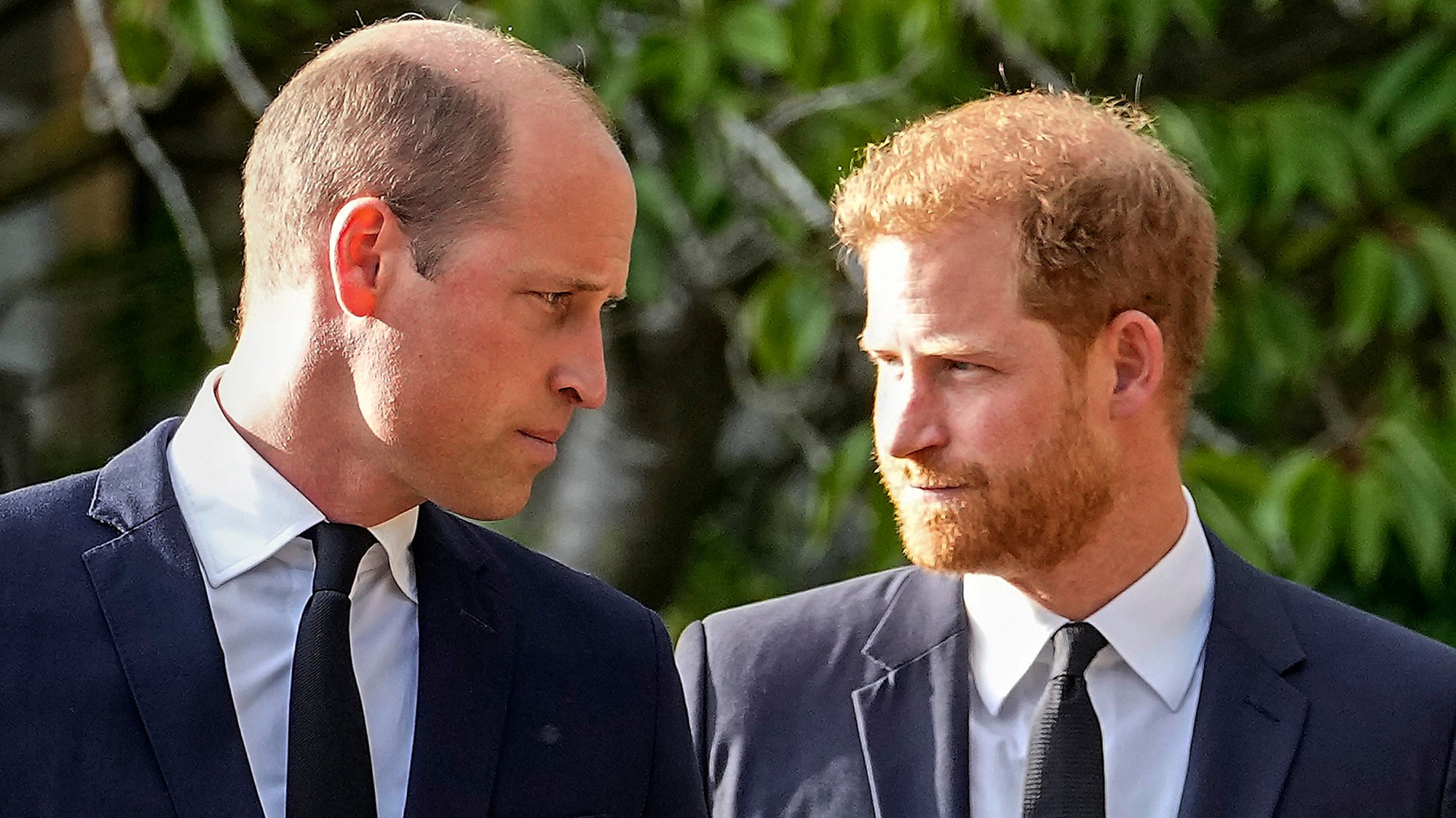 Princ William a princ Harry.