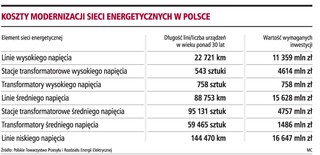 Na wymianę sieci energetycznych potrzeba 55 mld zł