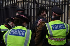 Protest w Londynie. Ponad 100 osób w rękach policji