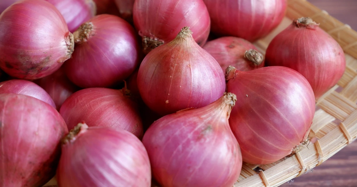 Cebula – niepozorne warzywo o wielkiej mocy. Jak ją wybierać, kroić i dlaczego nie wolno podawać jej psom?