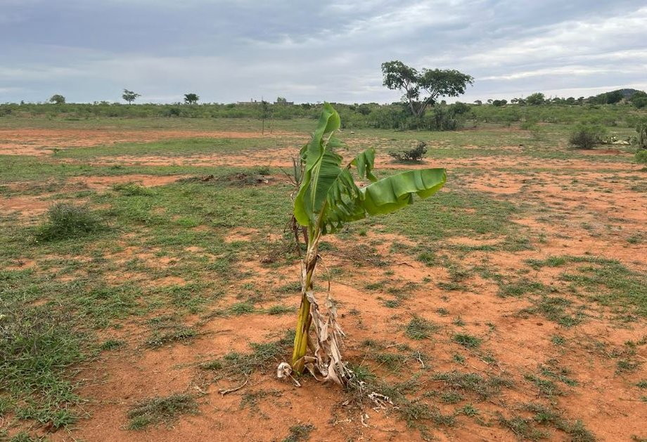 Wyspiarski kraj musi się zmierzyć z efektami zmian klimatycznych