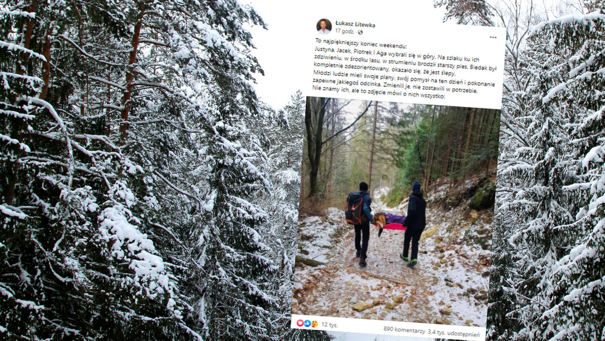 Znaleźli psa w środku lasu. Turyści zachowali się na medal 