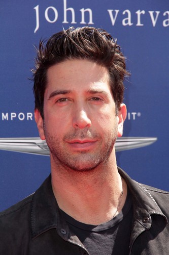 Przyjaciele: David Schwimmer