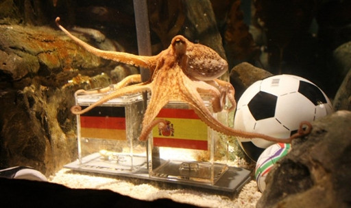 GERMANY - ANIMAL - FBL - WC2010 - GER - ESP - OCTOPUS - OFFBEAT