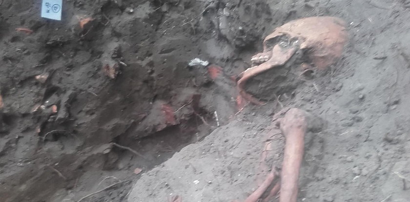 Sensacyjne odkrycie na Westerplatte! To już drugi szkielet polskiego żołnierza