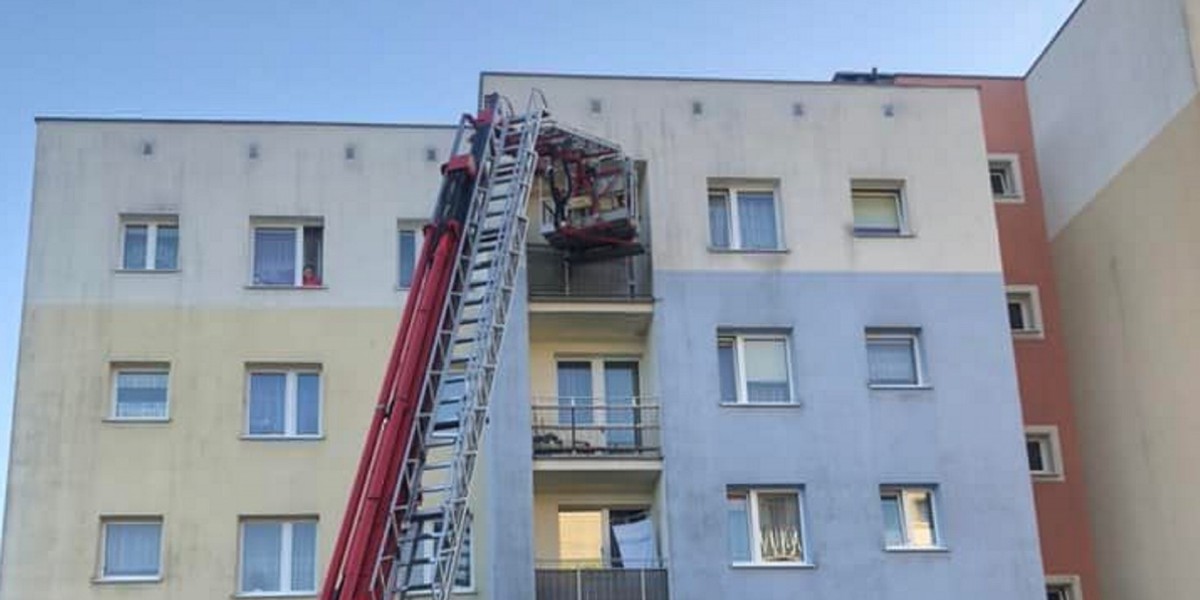 Z nieba lał się żar, a oni zostawili go na balkonie na co najmniej dwa dni. Nie miał ani wody, ani jedzenia.