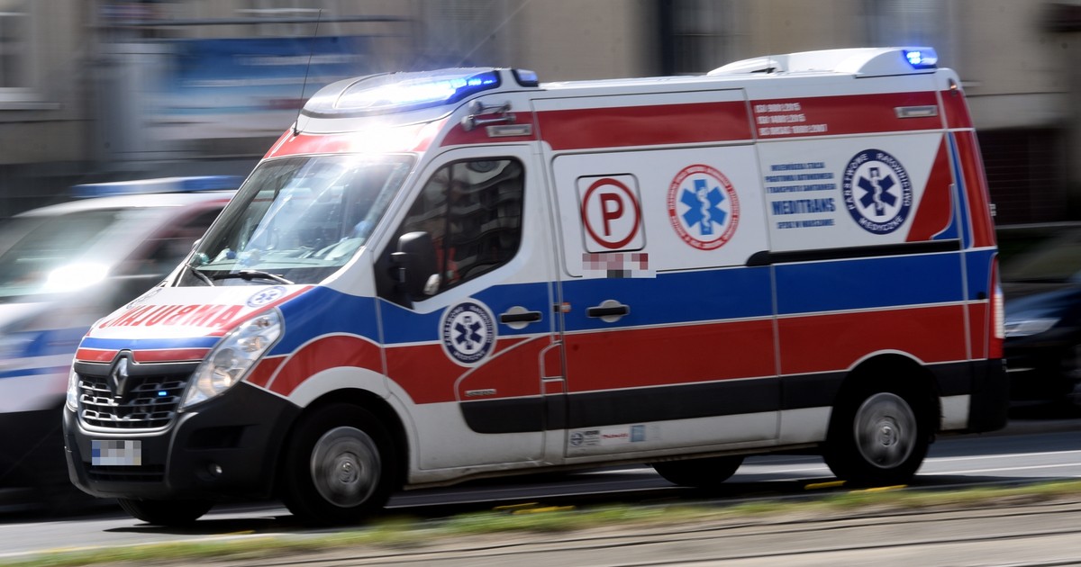 Dramat we Wrocławiu. Tlenek węgla zabił kobietę i jej czworonożnego pupila