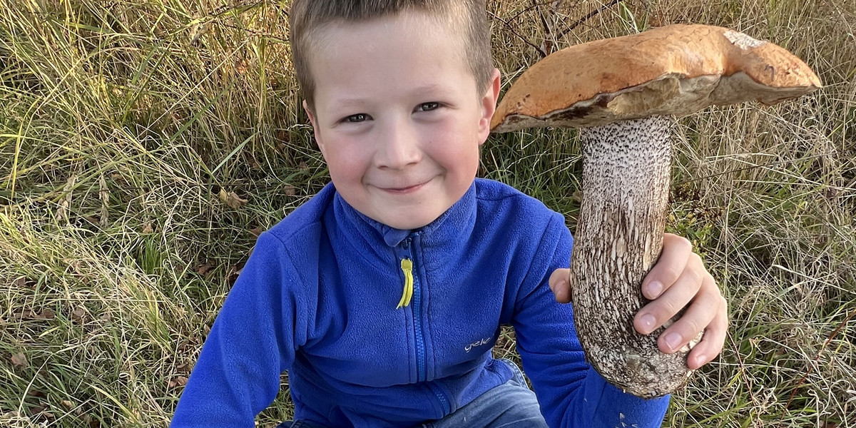 Dziewięcioletni Olek znalazł piękny okaz. Mama będzie wiedziała, co zrobić z takim wspaniałym koźlakiem