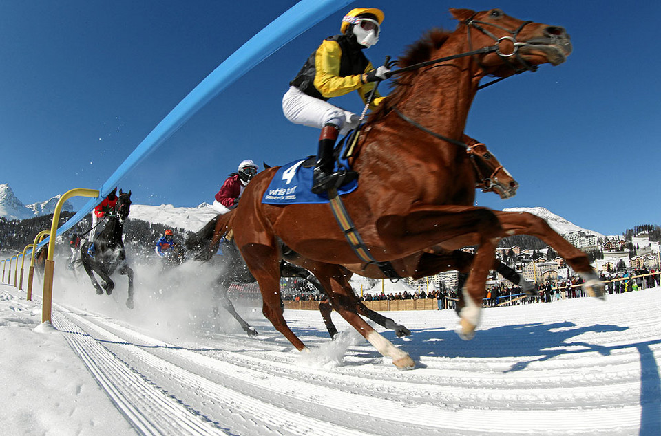 St. Moritz, wyścigi konne White Turf