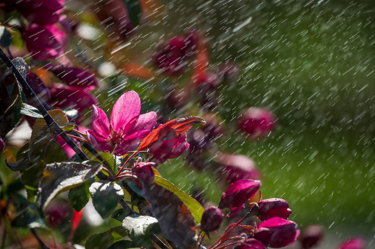 Drastyczna zmiana pogody na Wielkanoc 2026