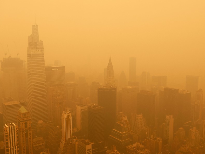 The 7 countries who met WHO air quality standards in 2024.Gary Hershorn/Getty Images