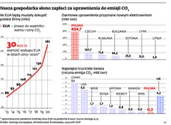 Polskie firmy nieprzygotowane do kupowania limitów na CO2