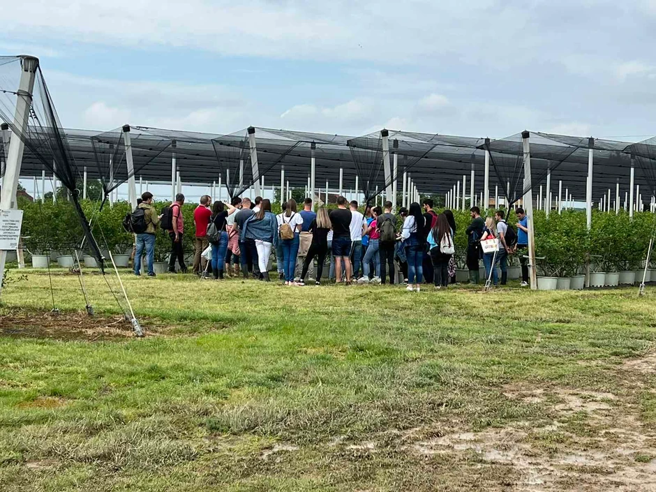 Branislav je počeo svoj pionirski poduhvat kad niko nije znao kako treba uzgajati borovnice