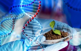 bardzo-prosty-quiz-z-biologii-sprawdz-czy-wiesz-tyle-co-uczen-podstawowki-mniej-niz-910-to-juz-wstyd