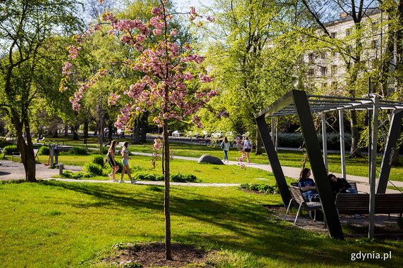 Park Centralny w Gdyni w kolorowej odsłonie [ZDJĘCIA]