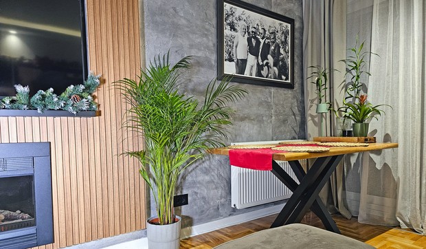 Filip Mitrović stan